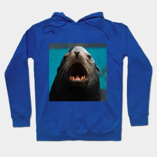 Seal Hoodie